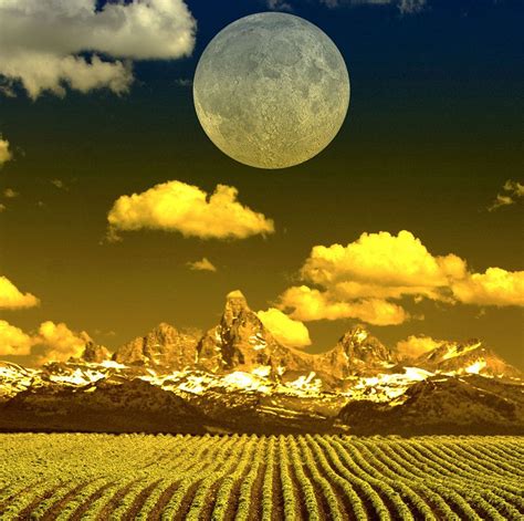 Moonlit Harvests: The Serenade of the Moon Goddess